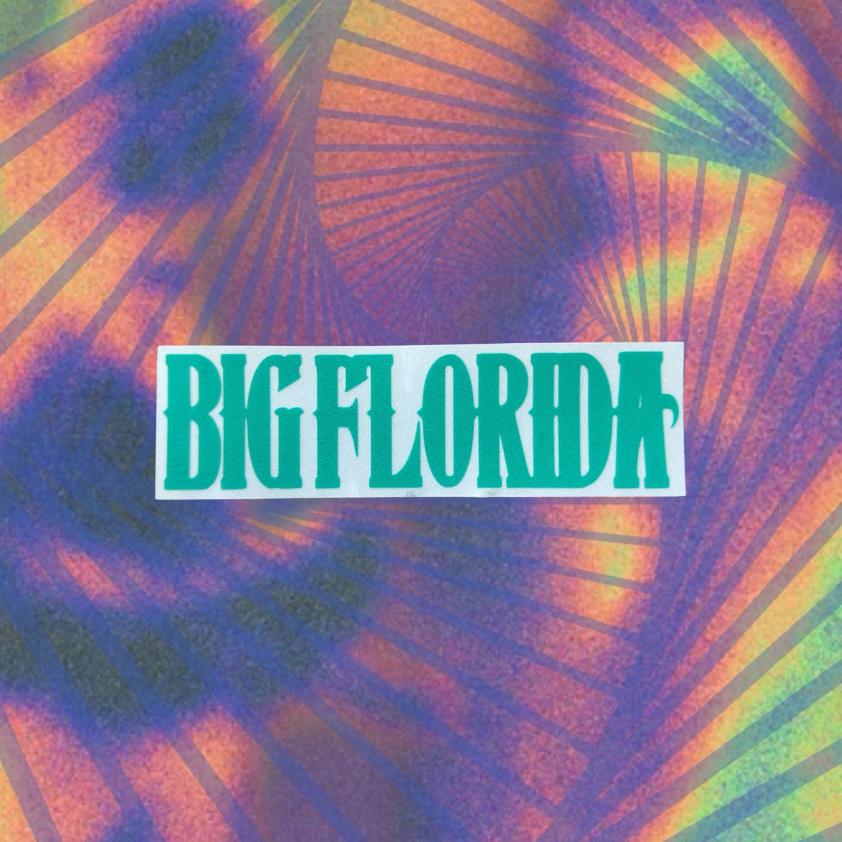big florida car decal