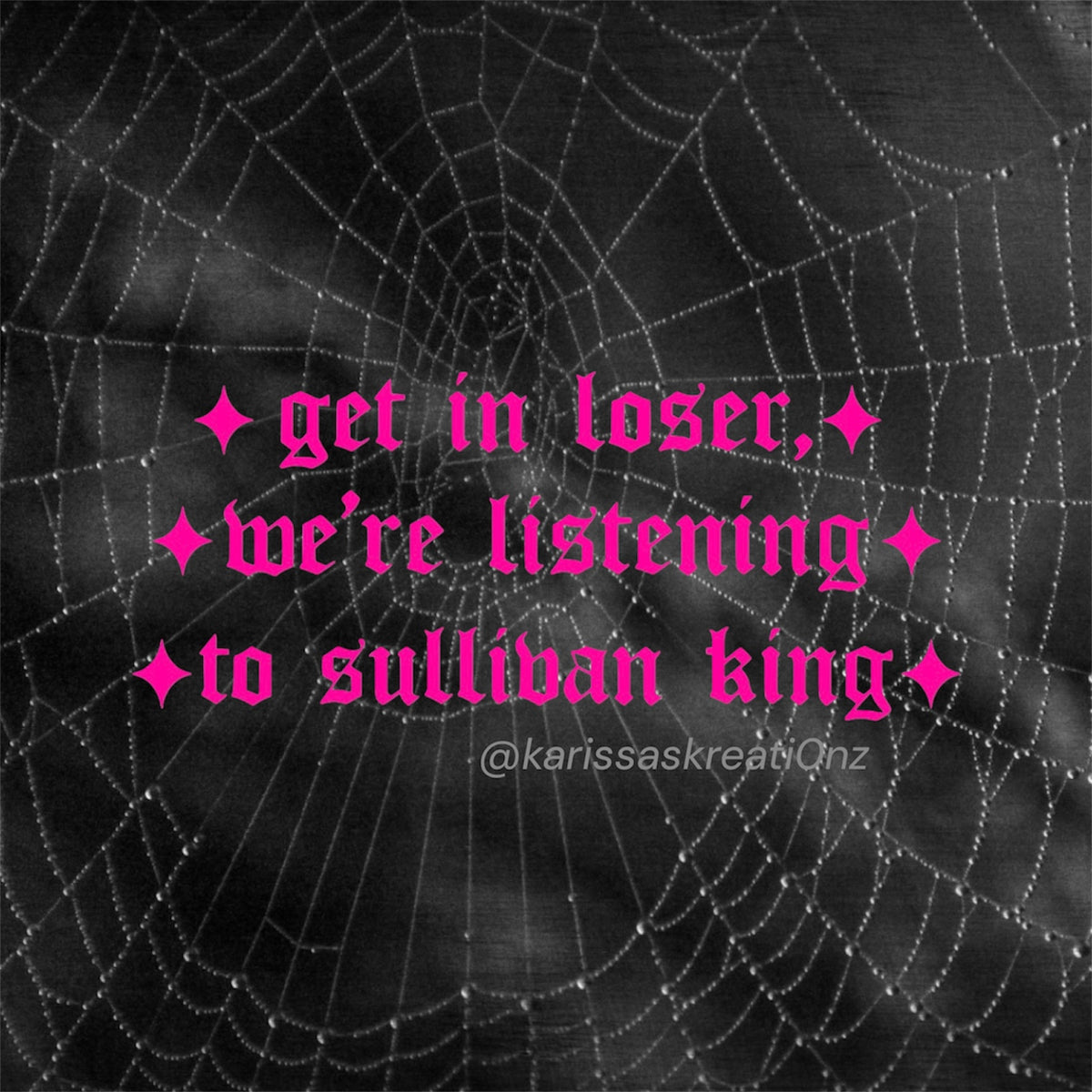 get in loser, we’re listening to sullivan king car decals