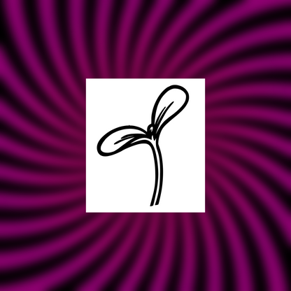 sprout car vinyl decals