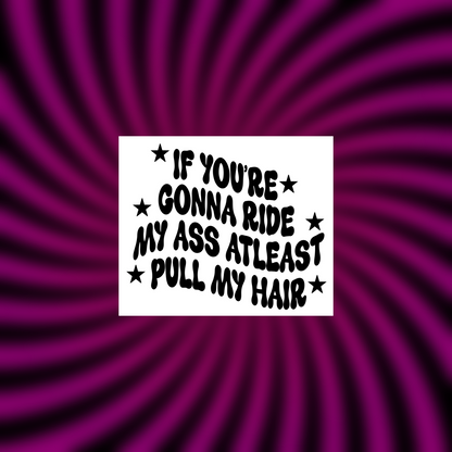 if you’re gonna ride my ass atleast pull my hair car vinyl decals