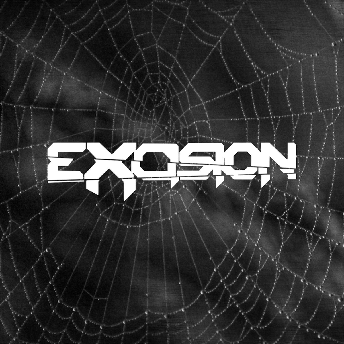 excision car decals